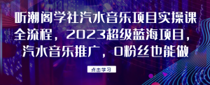听潮阁学社汽水音乐项目实操课全流程，2023超级蓝海项目，汽水音乐推广，0粉丝也能做！网赚项目-副业赚钱-互联网创业-资源整合聚富168