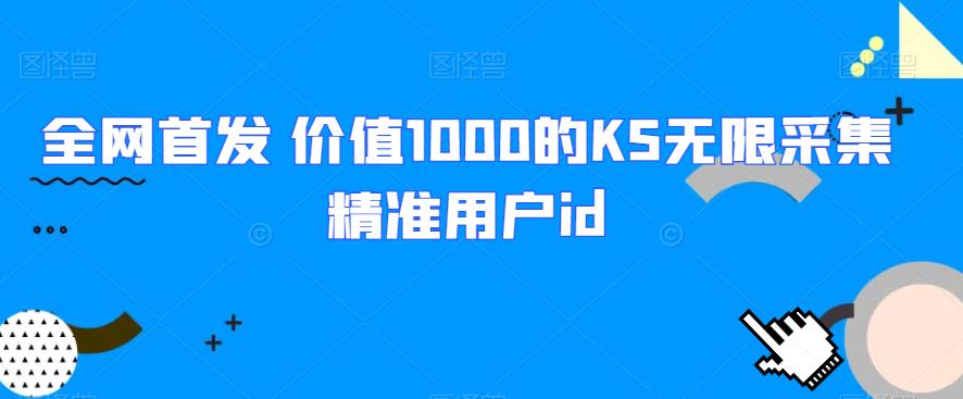全网首发 价值1000的KS无限采集精准用户id网赚项目-副业赚钱-互联网创业-资源整合聚富168